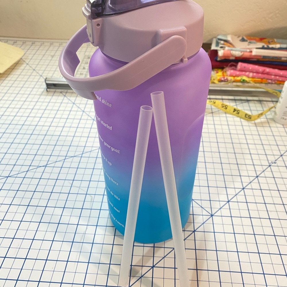 Purple and Blue Gradient Water Bottles with Straw